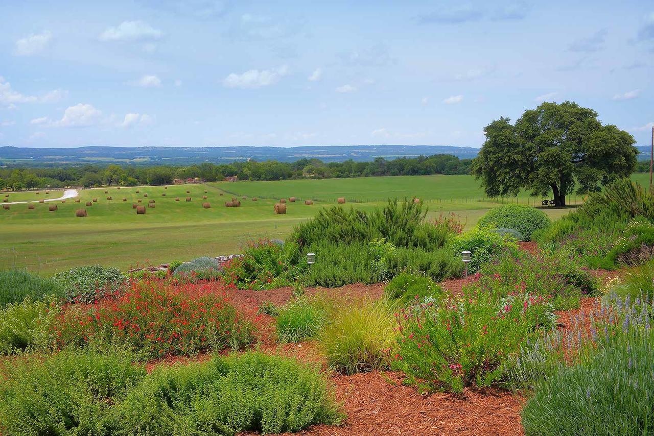 Rose Hill Retreat Aaa Four Diamond Inn Stonewall Exteriör bild
